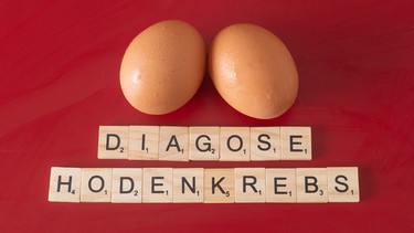 Zwei nebeneinander liegende Hühnereier symbolisieren die Hoden. Darunter steht mit Scrabblesteinen gelegt: Diagnose Hodenkrebs | Bild: picture-alliance/dpa